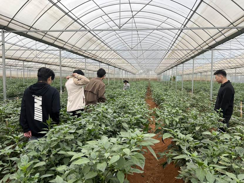 种植基地参观